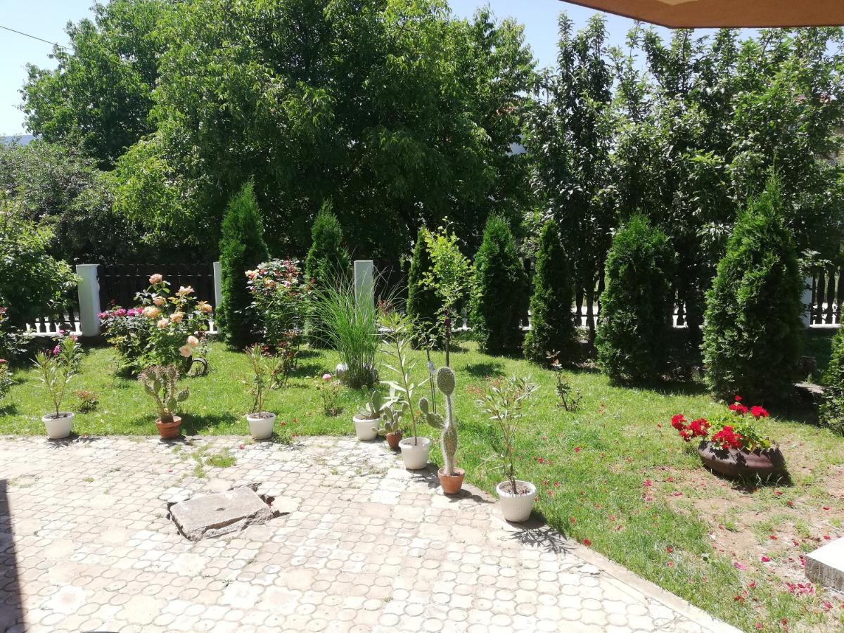 Apartmani Tvins سوكو بانيا المظهر الخارجي الصورة